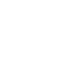 lower-jaw